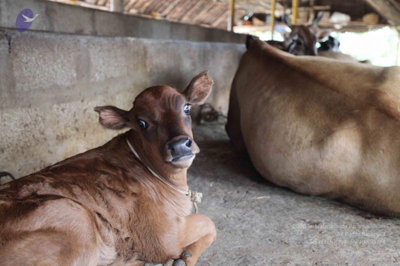 File:20101107 Photo 1202 1gY6Z1SpCwD7OaFFUGTJQ2a6hNS0wORtc.JPG