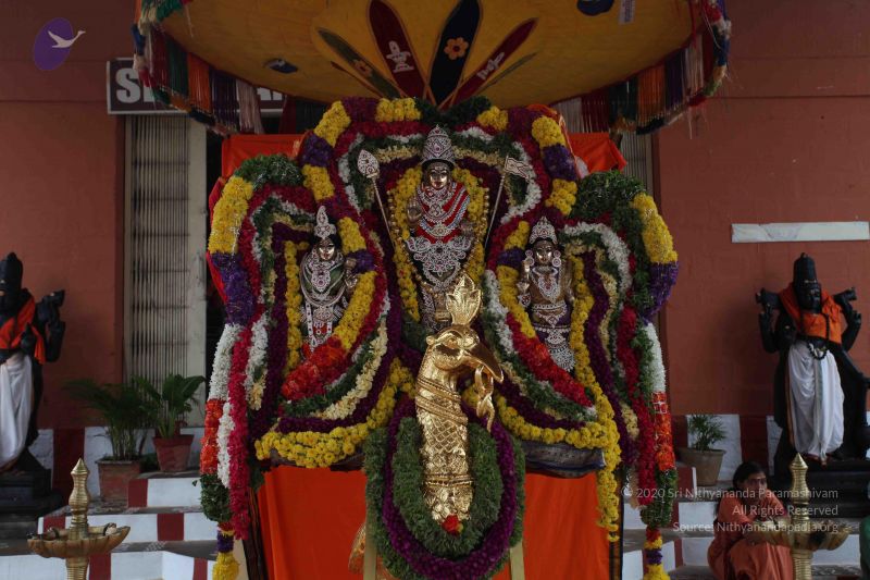 File:20101108 Photo 1043 1TBhrQX-V-wqKI9Q7rQ2KiWdZQteEGmUK.JPG