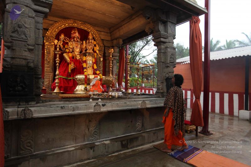 File:20101108 Photo 1078 1rNoGnmckQT1sK2FWeMwfcuekUds8UOqK.JPG