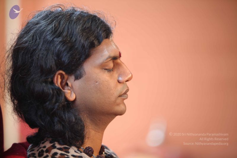File:20101108 Photo 1147 1ZYfiUJ8HTnb9-xpa0eVusORAOeojs15c.JPG