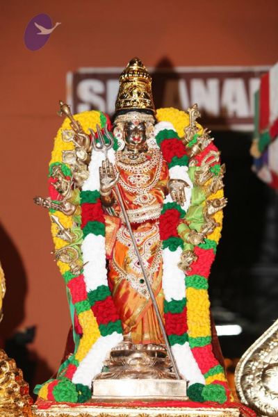 File:20101109 Photo 1012 1ZvEe3ojZKhnA-mMcosb97fgyz0AhVMUw.JPG