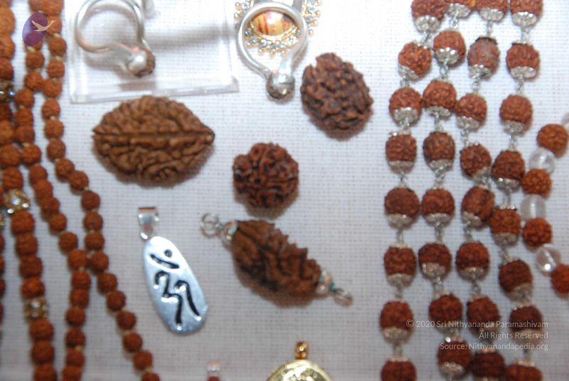 File:20101110 Photo 1272 14OI1k9MjvqmQiz5y8BSDjSwwesBHgOtk.JPG