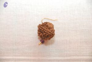 20101110 Photo 1274 1MHQNuMLTIukkIZmalfLxb0K6Tcfkt3rr.JPG