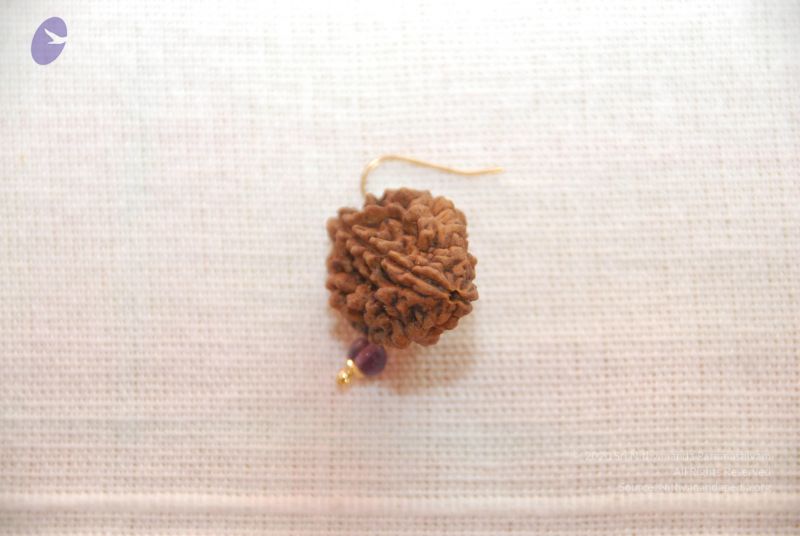 File:20101110 Photo 1274 1MHQNuMLTIukkIZmalfLxb0K6Tcfkt3rr.JPG