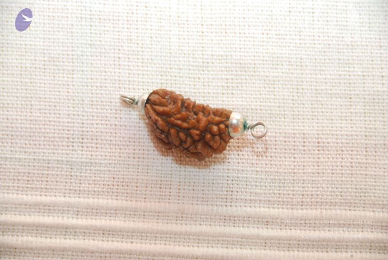 File:20101110 Photo 1276 1884c8iSFGbyodqbppKOpXckj7WZ6mzTQ.JPG