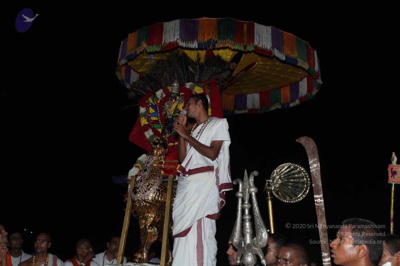 File:20101111 Photo 1324 14ZquQP 48JTskK5c9LHLIseZX3h9lVz8.JPG