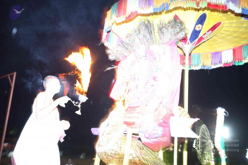 File:20101111 Photo 1349 1t9gLW ST1RbS2Mo3okv9182JoA3w0E-W.JPG