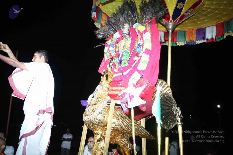 File:20101111 Photo 1350 1iXa32YUf0i2jJZLqESLKfVwB3k9bMk02.JPG