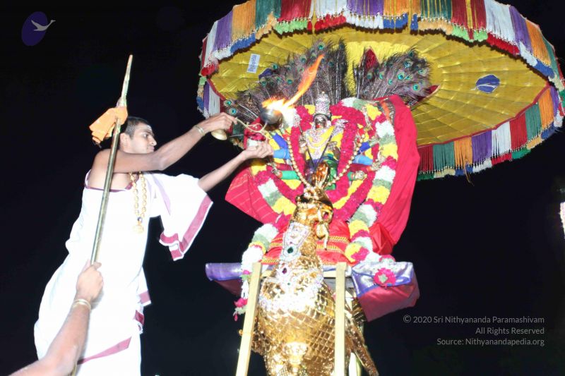 File:20101111 Photo 1371 1ohxjg6HtDqQhHExCqGkSCfGF8bpmBp4l.JPG