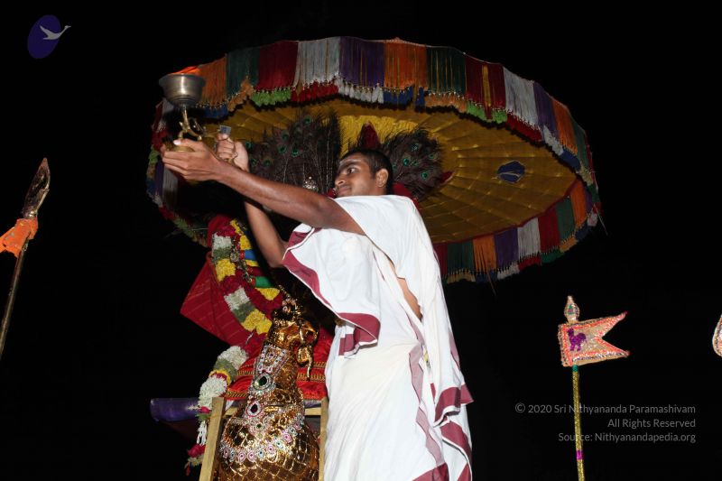 File:20101111 Photo 1372 1gwYti2UG5BVh6JKcs72K7Cy56d1aK6Yk.JPG