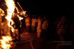 20101111 Photo 1407 1yskQbBO4LpVVWPW6VlE4fq01K4wTGSLW.JPG