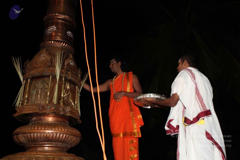 File:20101112 Photo 1029 1BuDm5ZU7SlrKkZXFNohQ4qD6j1vQn9 d.JPG