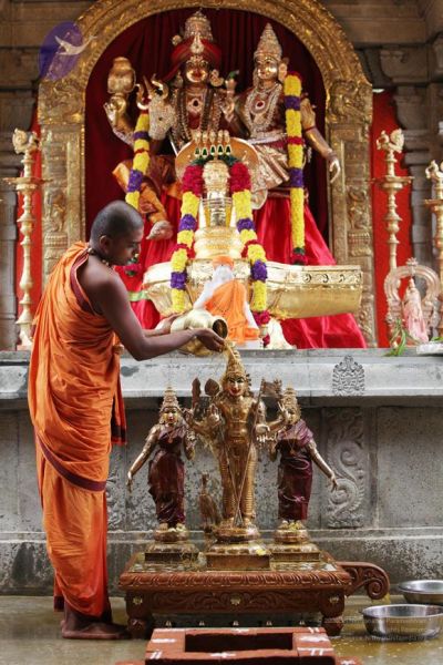 File:20101112 Photo 1036 1ro9ky4S3DeyKfnX7zoDqB5oUOLcfGMcI.JPG