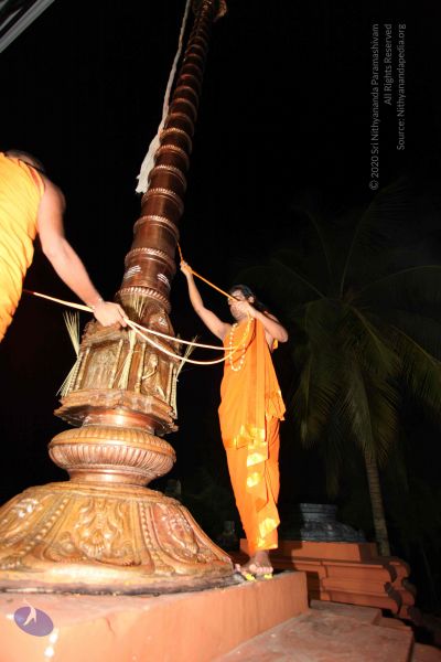 File:20101112 Photo 1056 15wqeFJ7KItt14f7Ro6jF1T t7uFUQZrv.JPG