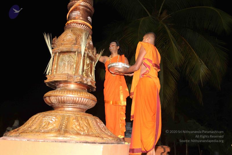 File:20101112 Photo 1064 1wAe1n2KSe4w G4jVcJKcqkbuMW9WEu-0.JPG