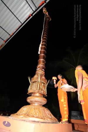 20101112 Photo 1074 1Wbk-ZA-dsDlJlYNhjk0oaBuoe-PXUXcG.JPG