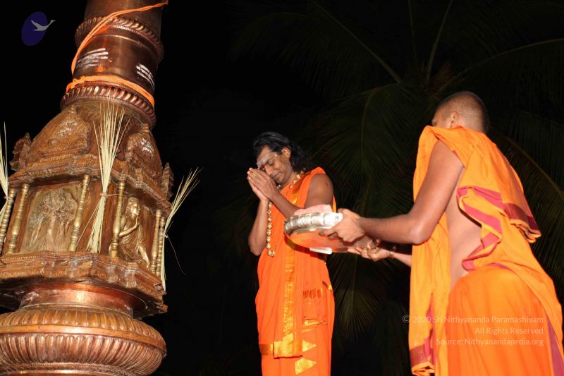 File:20101112 Photo 1079 1af4jJDpobJvaNIrIt2hhuDPL4tQ-toqo.JPG