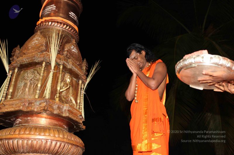 File:20101112 Photo 1080 1Jfk63KyJoYcaYaaMS8oUbQO4rmlXmU3b.JPG