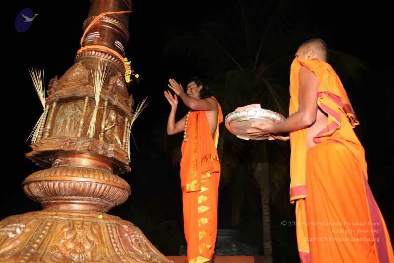 File:20101112 Photo 1083 1p3UJrSSwJf3Zy9yDml 9h2KoOpb9-Bdx.JPG