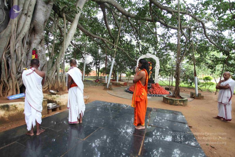 File:20101112 Photo 1117 1nHsFBHbHzsmNeET1 kR1flL1gIeSzdvX.JPG