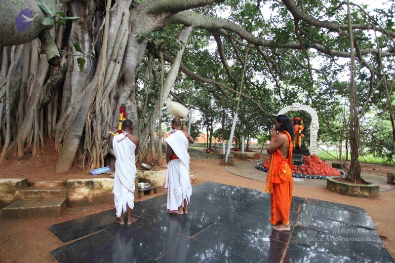 File:20101112 Photo 1118 1C2q5p7zrRJwrYtMXrXxls tKRpzv08U .JPG