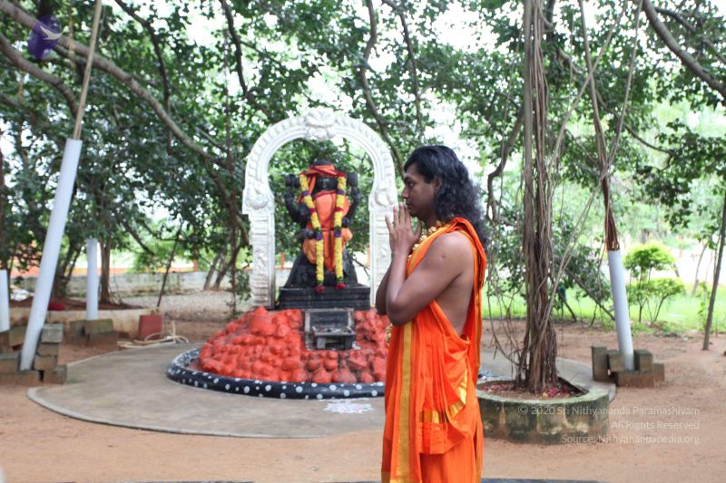 File:20101112 Photo 1119 1MAGlYKDQXmKgHga5lxcUzTk4sBCTvgM3.JPG