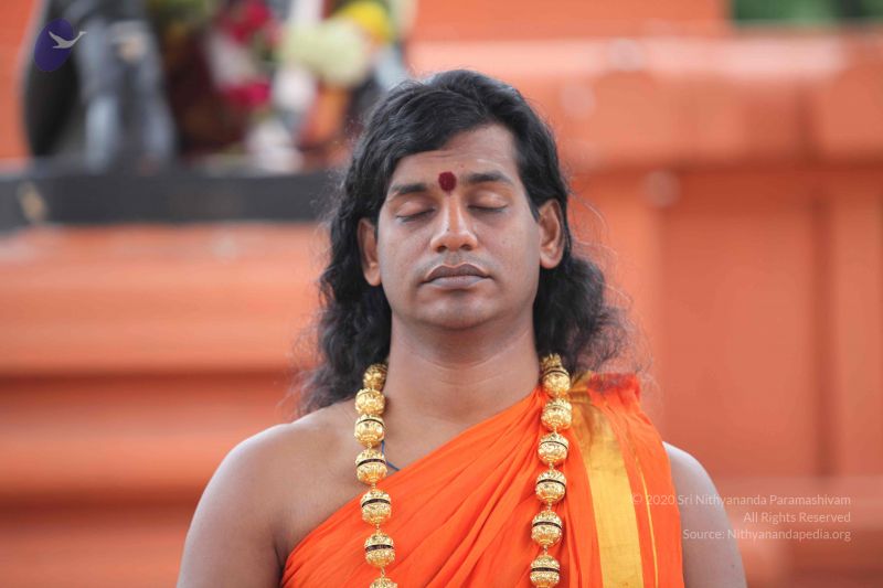 File:20101112 Photo 1142 1IgjDchs3814ymL9py25KutOdgdXwcFYj.JPG