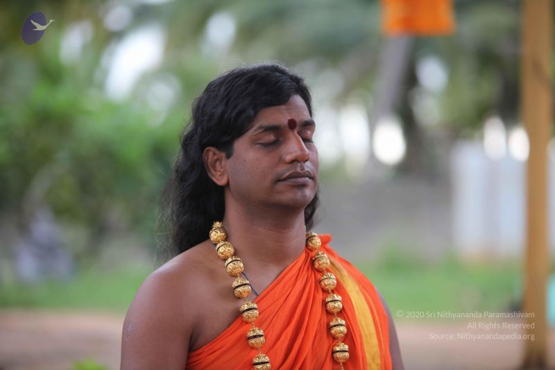 File:20101112 Photo 1154 1HStKTh8qm dMjeeEFfm68JqMPG6e4oPR.JPG