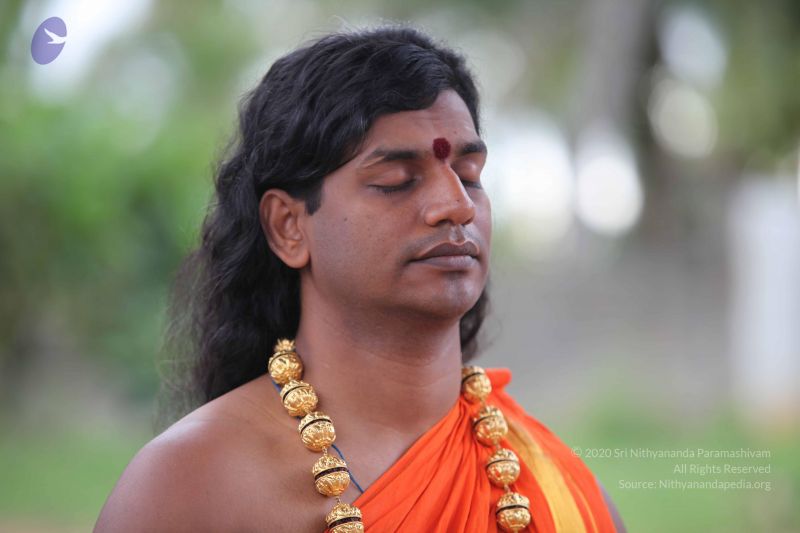 File:20101112 Photo 1167 1zWlLjRLyMz-i-D394jKjOlqlVMJ1bgWp.JPG