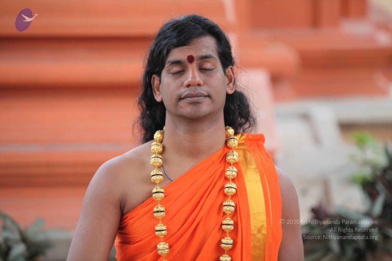 File:20101112 Photo 1189 1Mh-vDnwCydeYXuC16q WF2UTQM9KkiT1.JPG