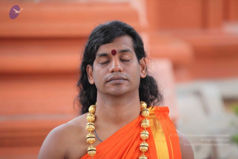 File:20101112 Photo 1190 1GWt9M2HaS-znEkfIHhYfh5SWByHmf6Ti.JPG