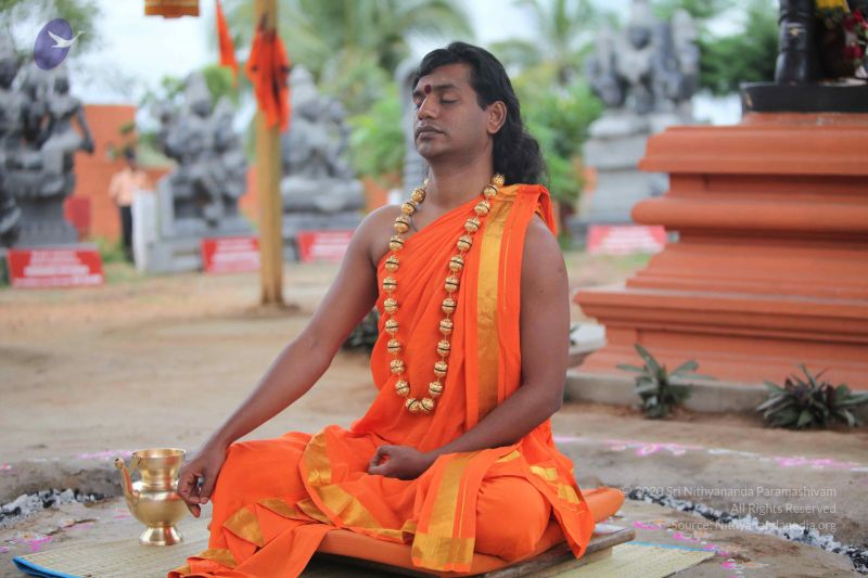 File:20101112 Photo 1200 1iPELQevBprg5uDTAvlrfYBzUHT0N2vEG.JPG