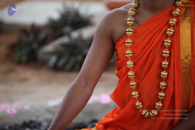 File:20101112 Photo 1208 1iauHpzcoqALdnp59ertJVJTYgRm3Zd-S.JPG