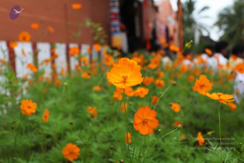 File:20101112 Photo 1232 1rTf0rz9bLXWLQBU-VCvLpFkDM1BcoG5d.JPG