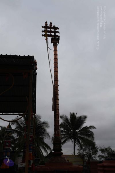 File:20101112 Photo 1235 1LpIcKeu2nwlWmdjhOBdKcymopMTSJjc2.JPG