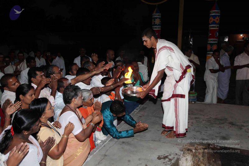 File:20101112 Photo 1250 19ql3og0HgvEIdVQvzj1n7ZzXo6t5xZqx.JPG