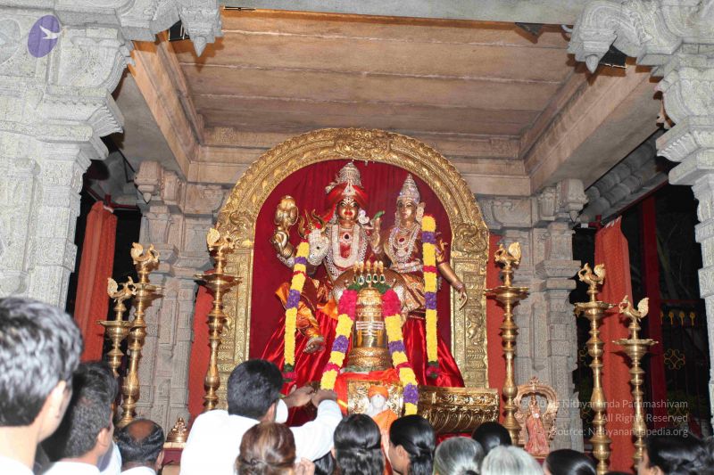 File:20101112 Photo 1261 1sMuWJWI 9Pfe8x2l qf m55o758NmoEA.JPG