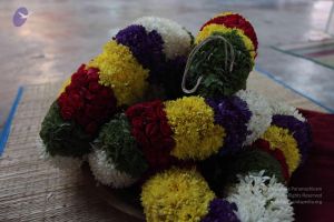 20101112 Photo 1285 1Z9uEV98y2uSKCQx9bQDvqLNx4H6if-pU.JPG