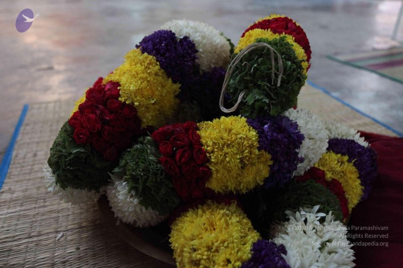 File:20101112 Photo 1285 1Z9uEV98y2uSKCQx9bQDvqLNx4H6if-pU.JPG