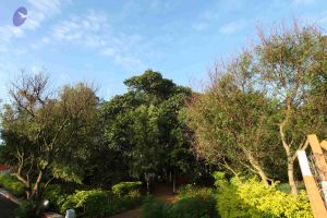 20101112 Photo 1289 1gVg3PvsVXFSNxHnuqXVnhveJLp5yae2l.JPG