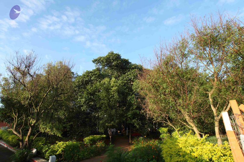 File:20101112 Photo 1289 1gVg3PvsVXFSNxHnuqXVnhveJLp5yae2l.JPG