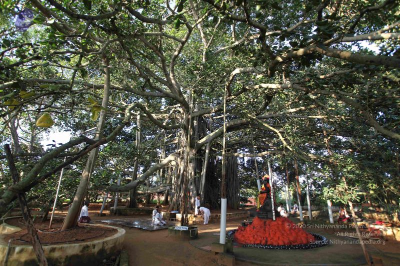 File:20101112 Photo 1295 1vqOHZXVhJCPQQfliRIOhkGWk1IT5ko3Y.JPG