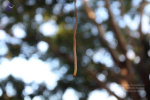 20101112 Photo 1298 1N-ChUldYs0hWDRhvfJvBmQfWhL3tB2aC.JPG