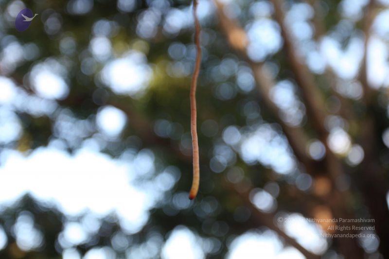 File:20101112 Photo 1298 1N-ChUldYs0hWDRhvfJvBmQfWhL3tB2aC.JPG