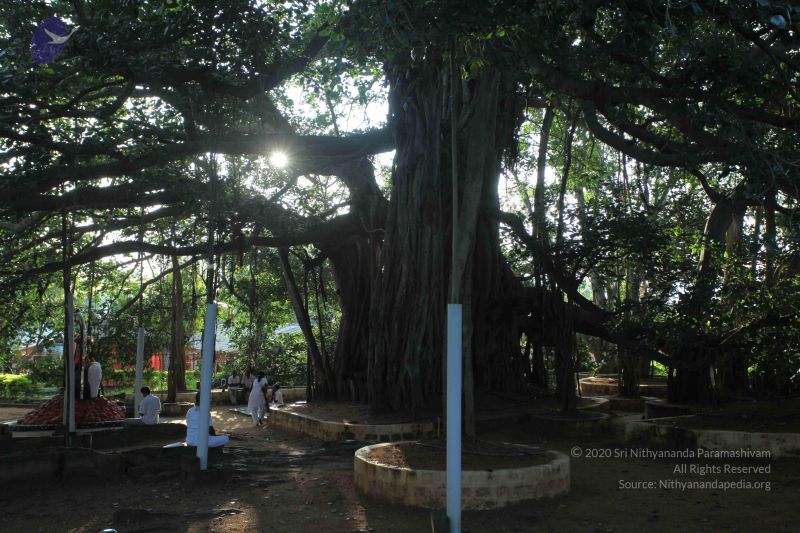 File:20101112 Photo 1302 1NGUaOtEDTvzZm5qzdQef8eoAjcF5jG0w.JPG