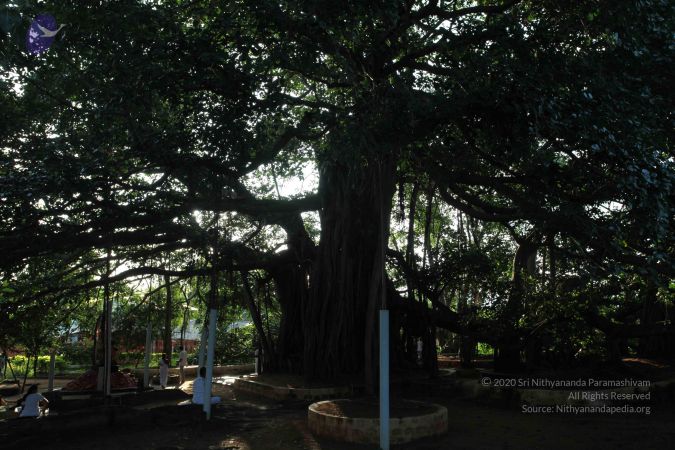 20101112 Photo 1306 1TdZeJvtXHHFCkKxB46UZWbb4XOv5E4IZ.JPG