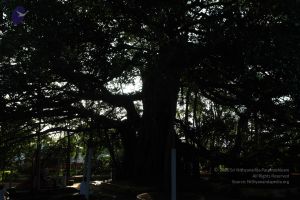 20101112 Photo 1307 1KGJGcn6hvJY3LwSFX1sgtAf1wMZe3k4l.JPG