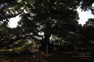 20101112 Photo 1311 1mLreMvEe4x2aX2F2SE-nfJ9g619f4UqV.JPG