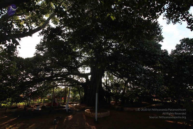 File:20101112 Photo 1311 1mLreMvEe4x2aX2F2SE-nfJ9g619f4UqV.JPG