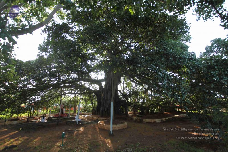 File:20101112 Photo 1312 1F-IGk-tWE-8FZADvHCSlkhIXZMLxQYLu.JPG